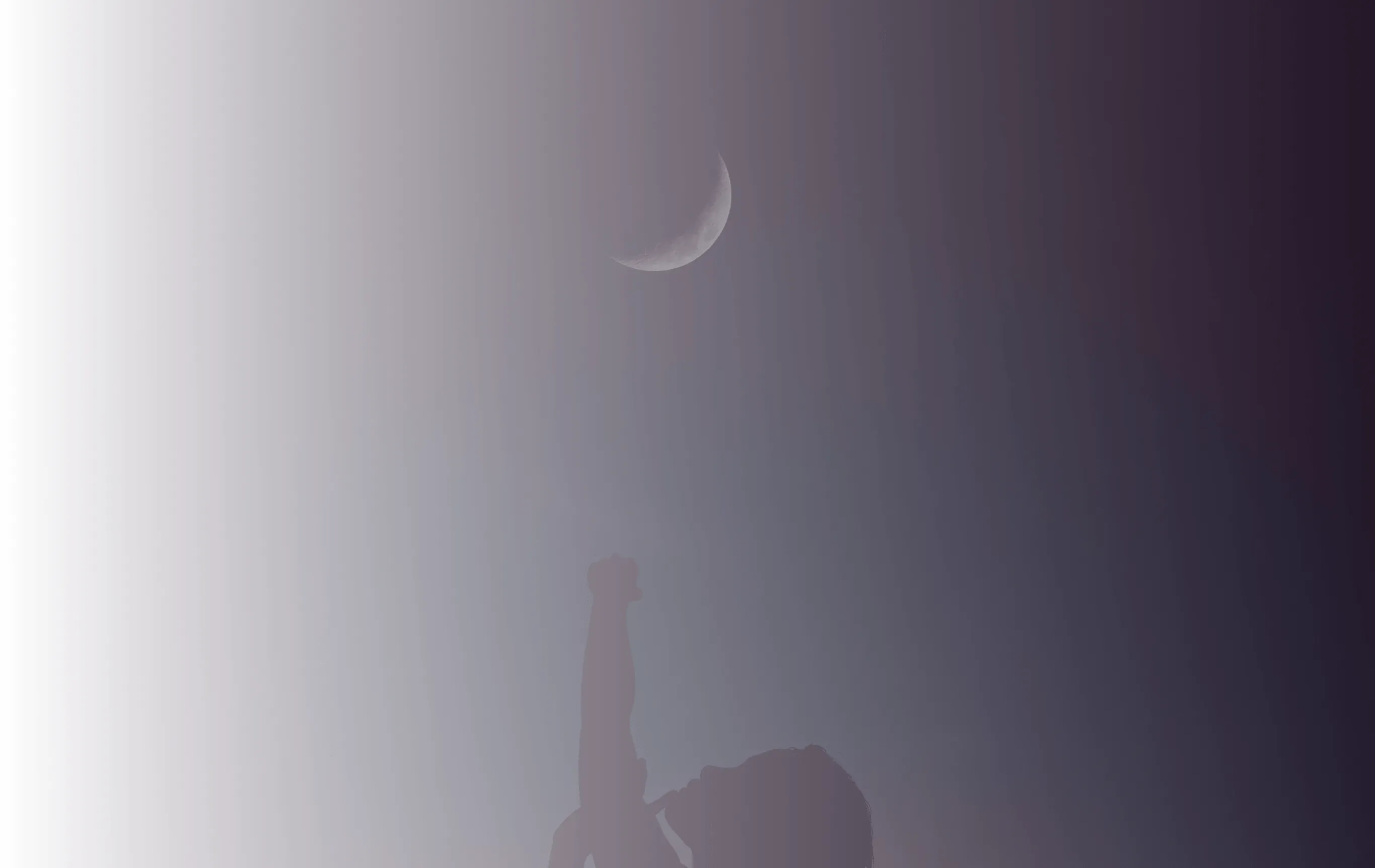 Section background image